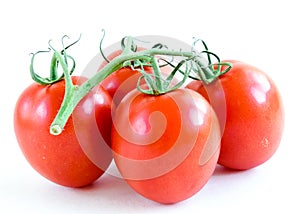 Studio shot organic four on vine ripened Roma tomatoes isolated on white background