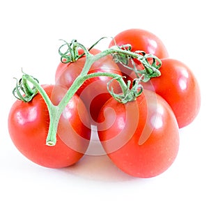 Studio shot organic four on vine ripened Roma tomatoes isolated on white background