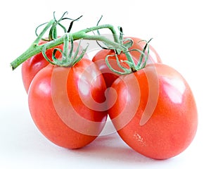 Studio shot organic four on vine ripened Roma tomatoes isolated on white background