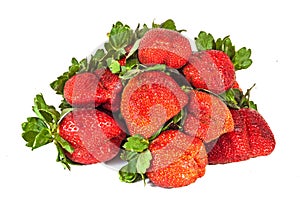 Studio Shot of Pile of Eight Fresh Organic Red Strawberries