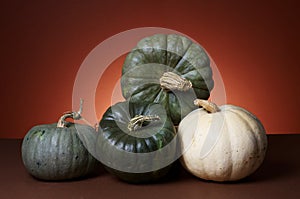 Studio shot of pumpkins