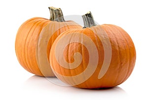 Studio shot of pumpkins isolated on white
