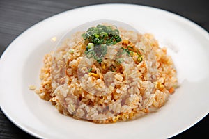 Studio shot of salmon fried rice