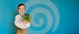 A studio shot of a smiling boy holding fresh broccoli on a blue background with a copy of the space. The concept of