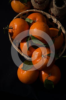 Studio shot of tangerines