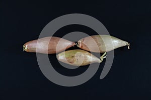 Studio shot of three bulbs of shallot isolated on a black background. Shallot, or allium ascalonicum, is close to the brown or