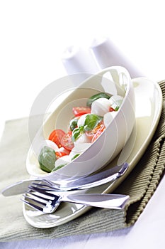 Studio shot of tomato and mozarella salad