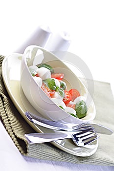 Studio shot of tomato and mozarella salad