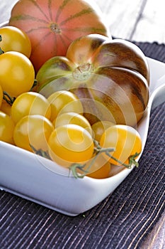 Studio shot of tomatos in dish