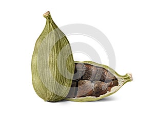 Cardamom pods isolated on white background