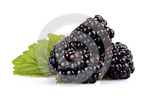 Studio shot of two fresh blackberries with leaves isolated white