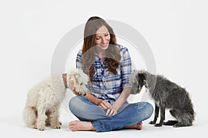 Studio Shot Of Woman With Two Pet Lurcher Dogs