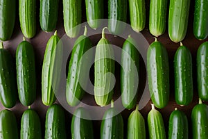 studio showcase cucumber, a versatile vegetable in focus