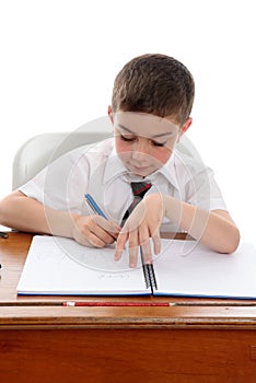 Studious boy doing school work