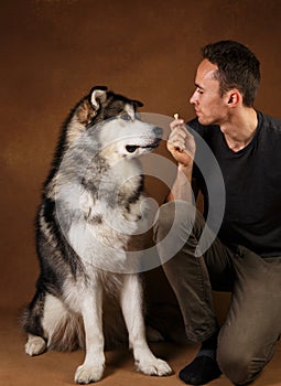 Studo shot of a man and alaskan malamute dog stitting on brown blackground