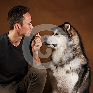 Studo shot of a man and alaskan malamute dog stitting on brown blackground