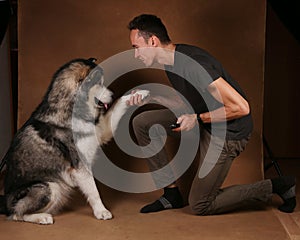 Studo shot of a man and alaskan malamute dog stitting on brown blackground