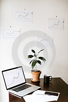 study desk of investment manager with with green plant and cup of coffee