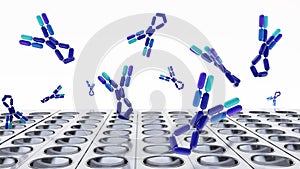 Study of IgE molecules using an ELISA or a similar microplate-based technique.