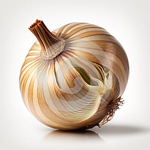 A Study in Layers: Unveiling the Sublime Beauty of an Onion