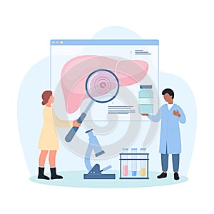 Study of liver disease, tiny hepatologists with magnifying glass research anatomy chart