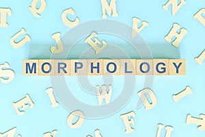 Study morphology in linguistics concept. Wooden blocks word typography flat lay in blue background.