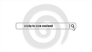 Study in New Zealand in search animation. Internet browser searching