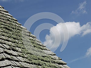 A study of a slated roof against a blue sky.