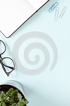 Study and working concept. White pages, open note, glasses, scoops, green flower. Blue background. Flat lay