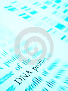Studying DNA profiles