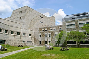 Studying in the Ives Hall`s Courtyard, ILR School at Cornell University