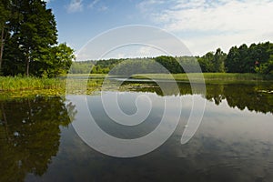 Studzieniczna Lake, summer landscape on a sunny day photo