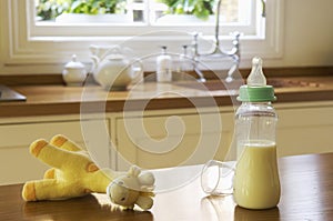 Stuffed Animal And Baby Bottle On Kitchen Counter