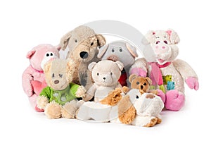 Stuffed animals