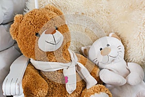 Stuffed Animals