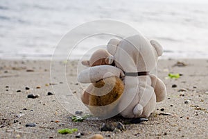 Stuffed Animals Hugging on the Beach