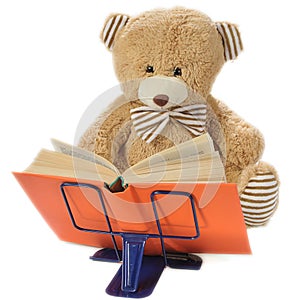 Stuffed bear reading a book