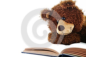 Stuffed bear reading a book isolated on white