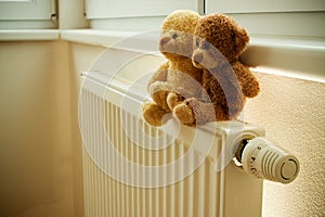 Stuffed bears on radiator