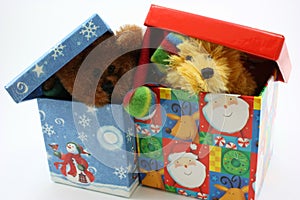 Stuffed bears together peaking out of gift boxes