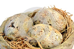 Stuffed bird nest with eggs