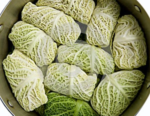 Stuffed cabbage