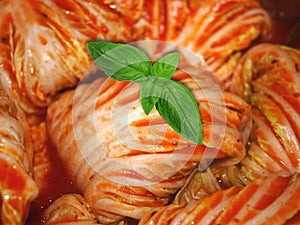 Stuffed cabbage and basil