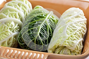 Stuffed Cabbage Leaves