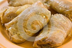 Stuffed cabbage roll,