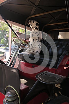 Stuffed Dalmatian on an antique red and black horseless carriage
