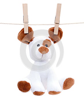 Stuffed dog hanging to dry
