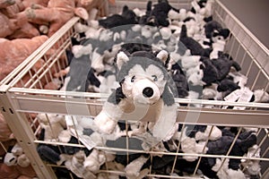 Stuffed dog puppy in basket at retail store. Baby puppy dolls, plush or cuddly toy at super marke