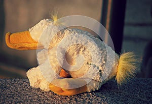 A stuffed duck sits on a river and enjoys the sunshine