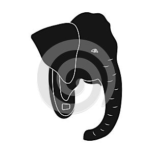 Stuffed elephant head.African safari single icon in black style vector symbol stock illustration web.